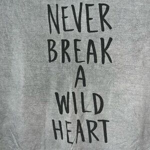 American Eagle Outfitters Gray Tee